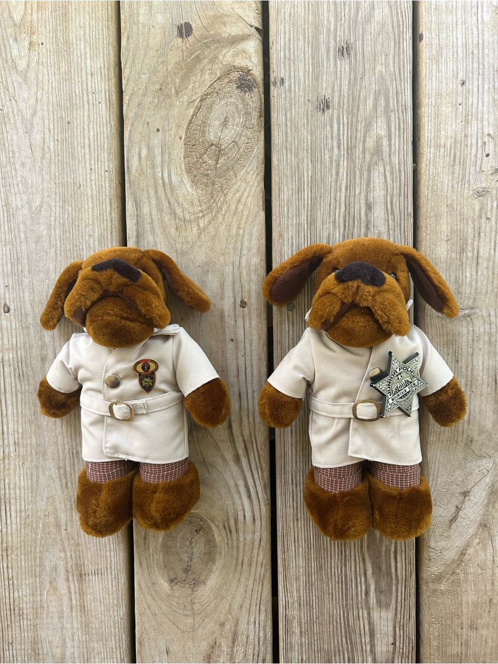 Vintage McGruff Dog